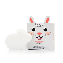 Load image into Gallery viewer, Nature Animals Assorted Soap Pack for Kids